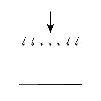 WÄHLE
